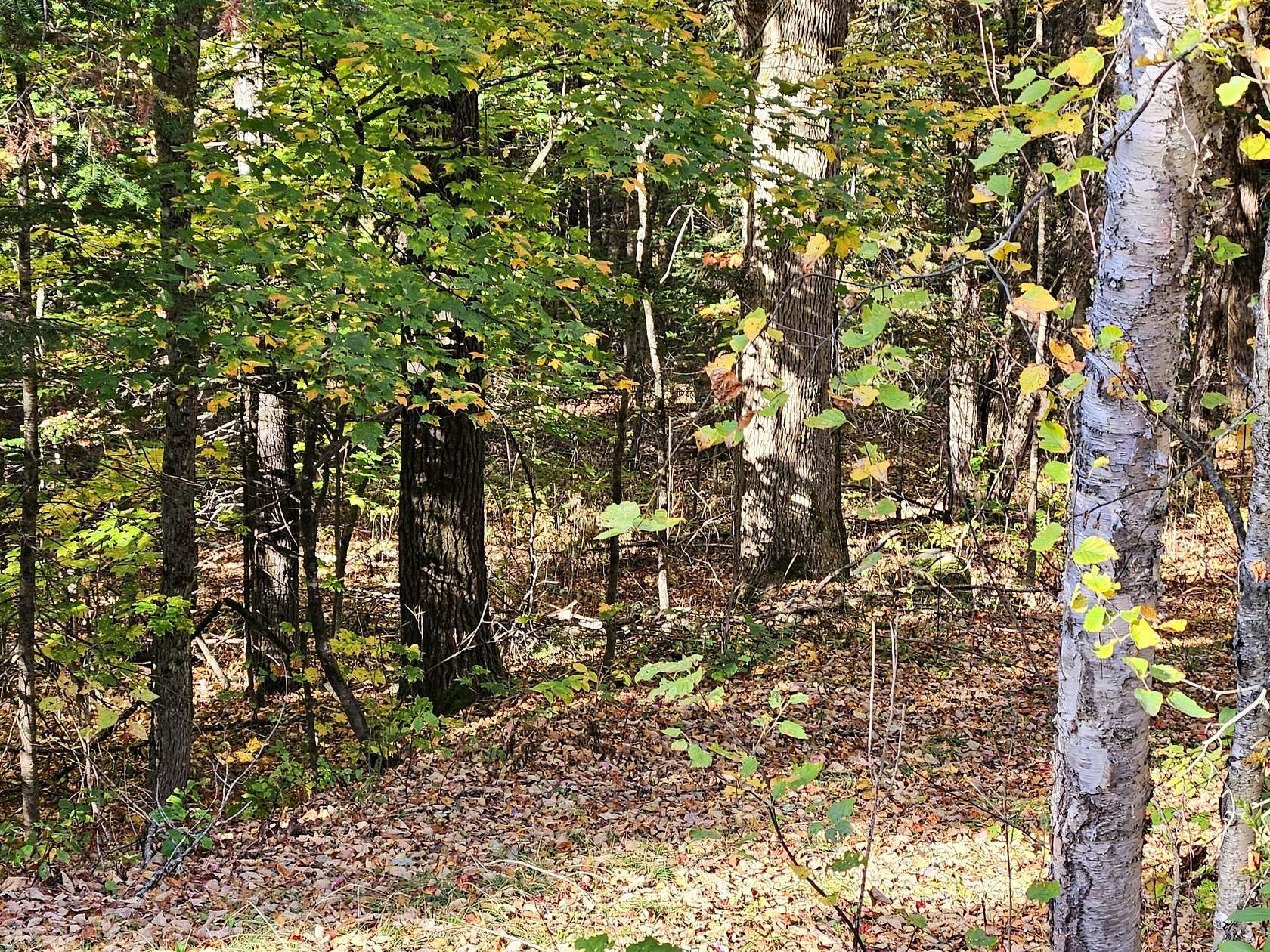 101 Acres of Recreational Land for Sale in Brownville, Maine