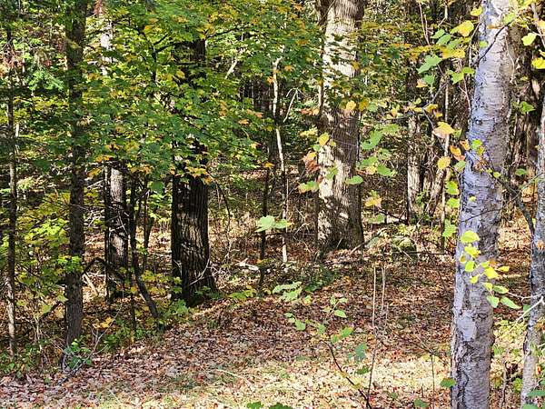 101 Acres of Recreational Land for Sale in Brownville, Maine
