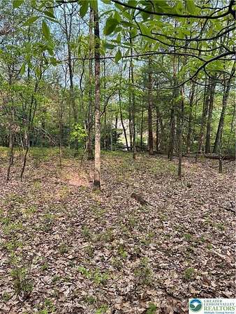0.85 Acres of Residential Land for Sale in Pike Township, Pennsylvania