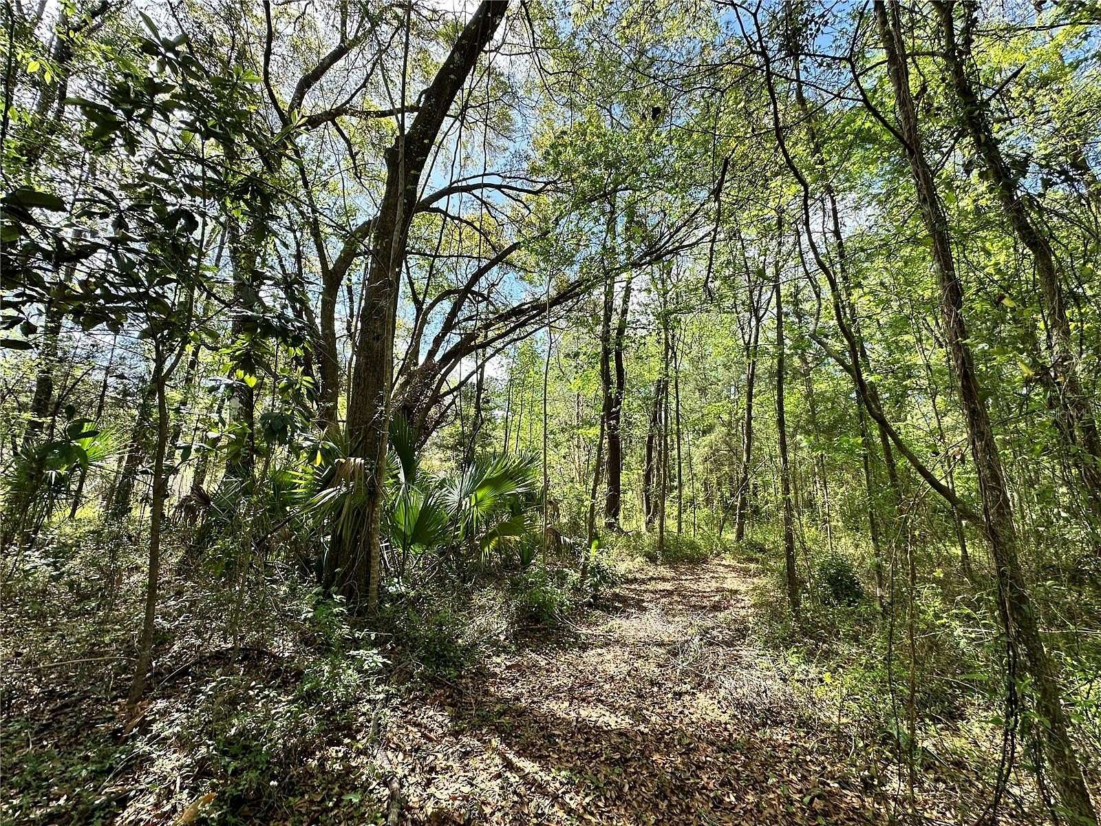 0.46 Acres of Residential Land for Sale in Ocala, Florida
