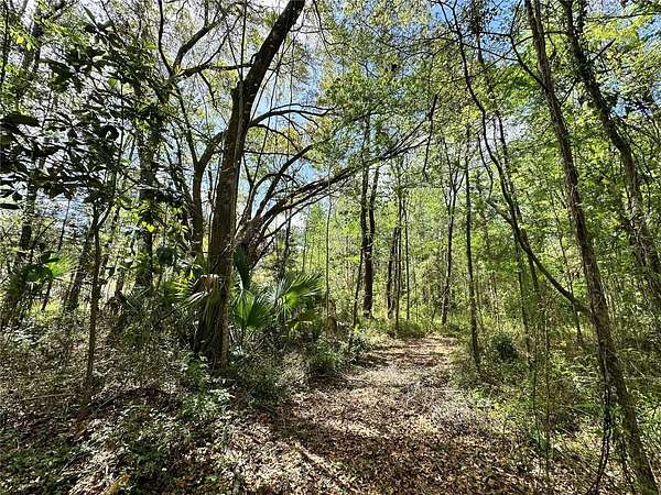 0.46 Acres of Residential Land for Sale in Ocala, Florida