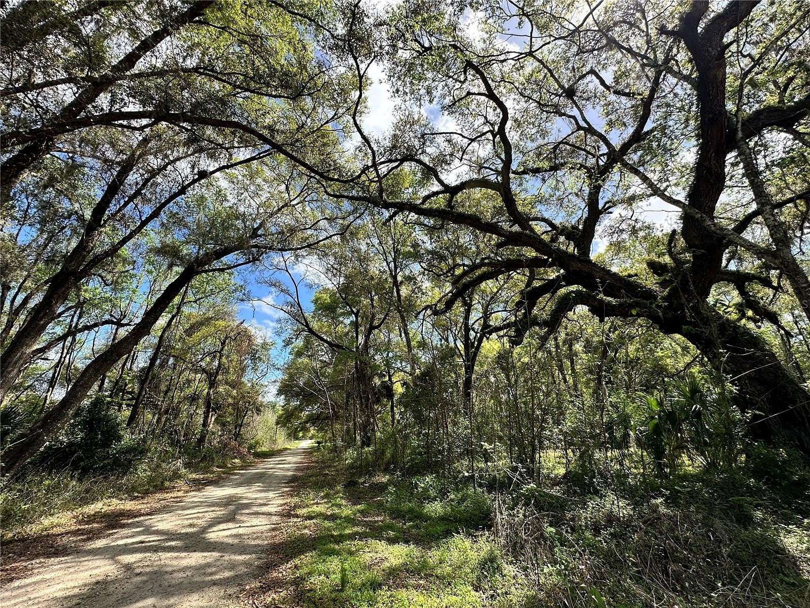 0.23 Acres of Residential Land for Sale in Ocala, Florida
