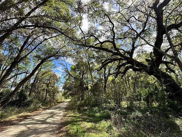 0.23 Acres of Residential Land for Sale in Ocala, Florida