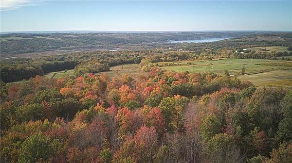 4.75 Acres of Residential Land for Sale in Conesus, New York
