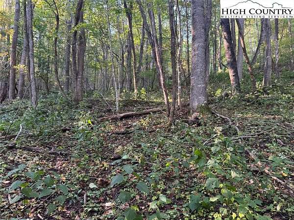 3.59 Acres of Residential Land for Sale in Boone, North Carolina