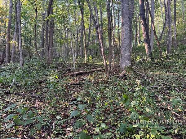3.59 Acres of Residential Land for Sale in Boone, North Carolina