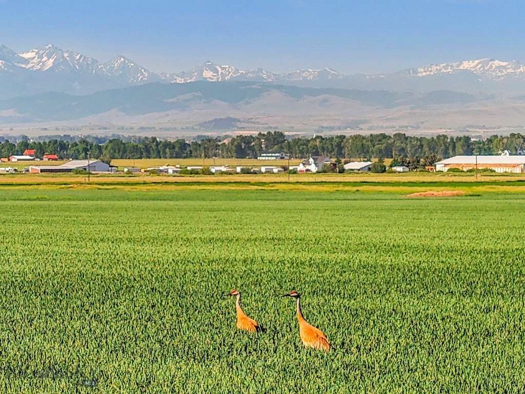 313 Acres of Recreational Land for Sale in Belgrade, Montana