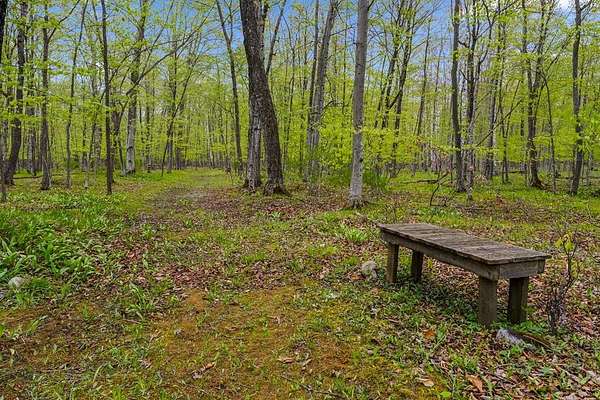 6 Acres of Land for Sale in Ellison Bay, Wisconsin