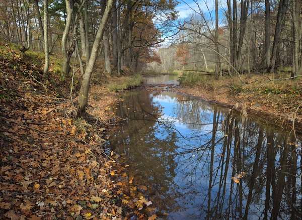 4.4 Acres of Residential Land with Home for Sale in Vesper, Wisconsin