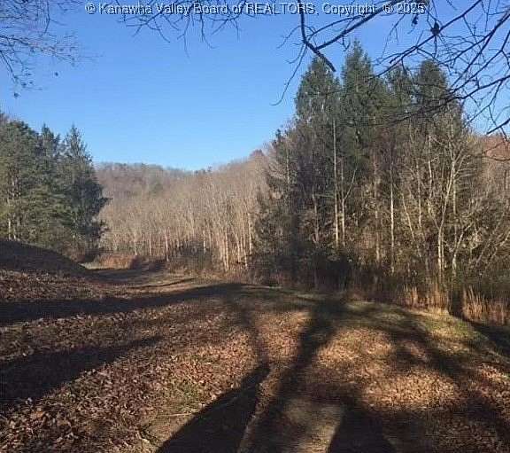 49.7 Acres of Recreational Land for Sale in Alkol, West Virginia