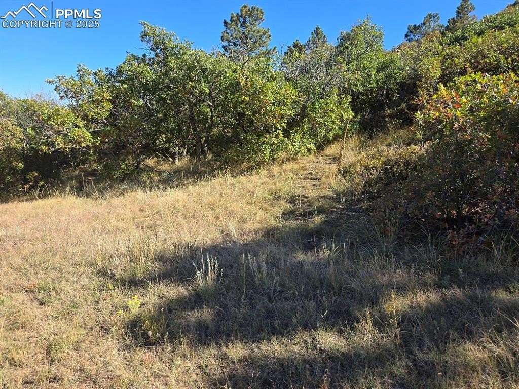 40 Acres of Recreational Land for Sale in Colorado Springs, Colorado