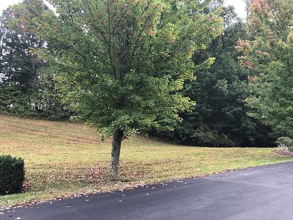 0.86 Acres of Residential Land for Sale in Bristol, Virginia
