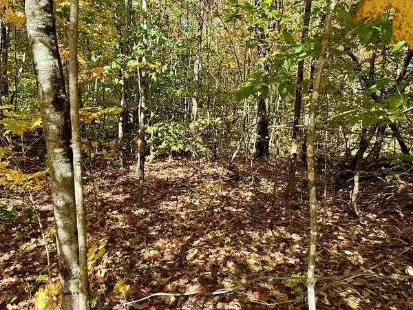 0.8 Acres of Land for Sale in Temple, Maine
