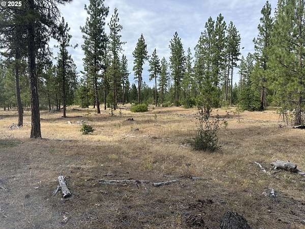 80 Acres of Recreational Land & Farm for Sale in Goldendale, Washington