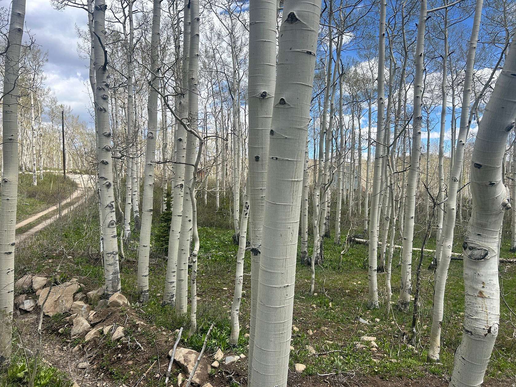 0.57 Acres of Residential Land for Sale in Midway, Utah