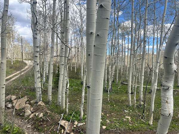 0.57 Acres of Residential Land for Sale in Midway, Utah