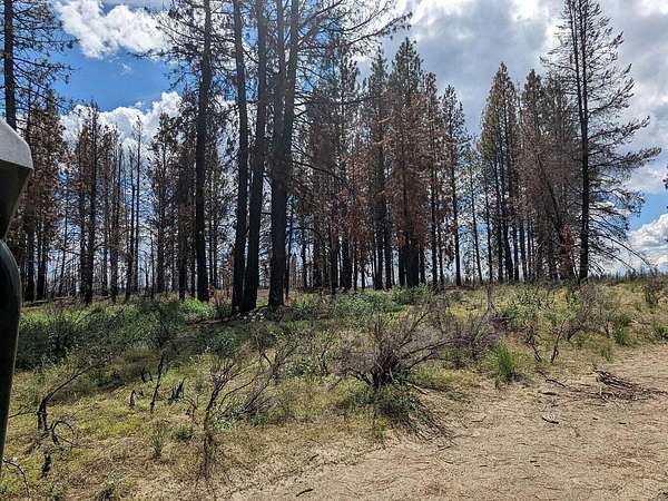 11.7 Acres of Recreational & Residential Land for Sale in Bly, Oregon
