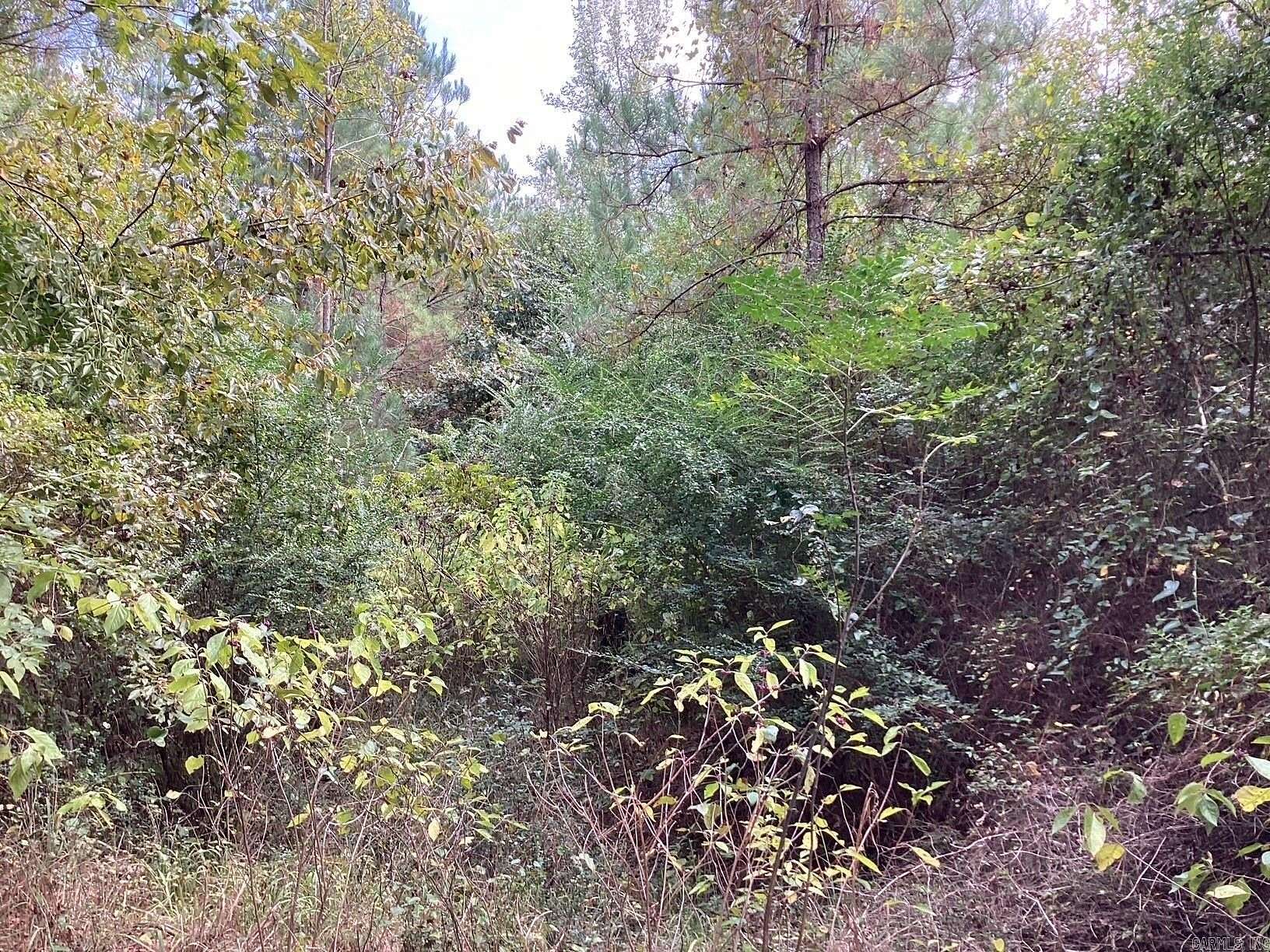 40 Acres of Recreational Land for Sale in Prescott, Arkansas