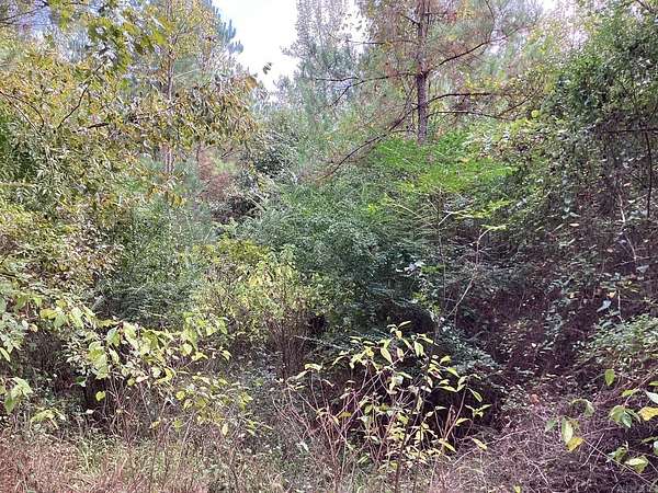 40 Acres of Recreational Land for Sale in Prescott, Arkansas