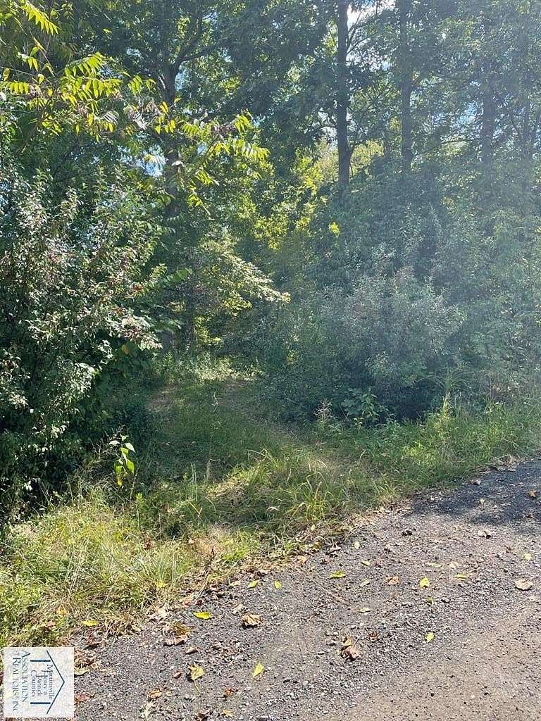 6 Acres of Land for Sale in Stuart, Virginia