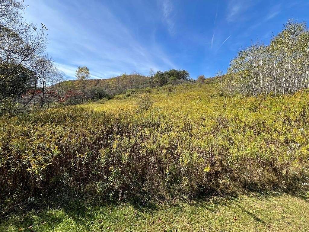 1 Acre of Residential Land for Sale in Coudersport, Pennsylvania