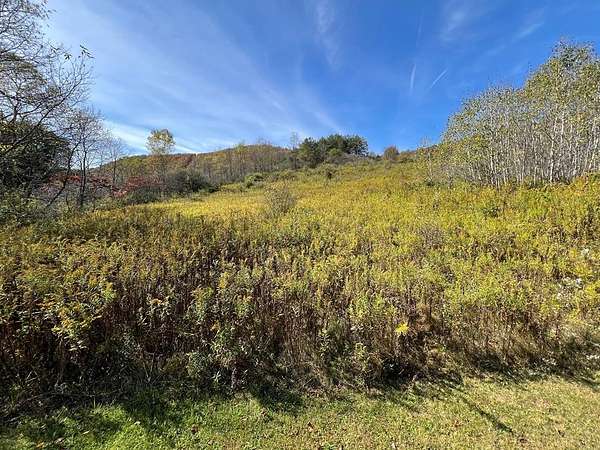 1 Acre of Residential Land for Sale in Coudersport, Pennsylvania