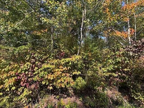 0.3 Acres of Residential Land for Sale in Presque Isle, Michigan