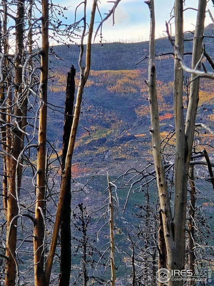 4 Acres of Land for Sale in Bellvue, Colorado