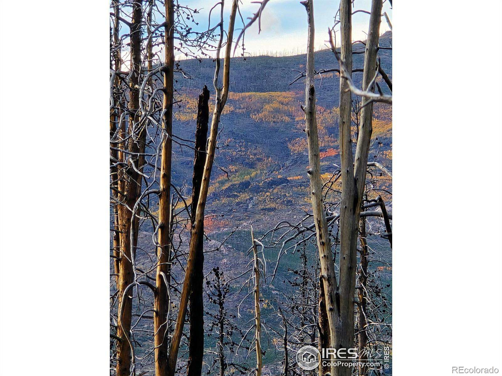 4 Acres of Land for Sale in Bellvue, Colorado