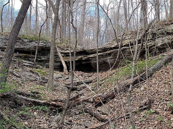 51 Acres of Land for Sale in Pineville, Missouri