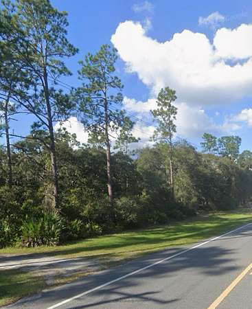 18.6 Acres of Land for Sale in Fort McCoy, Florida