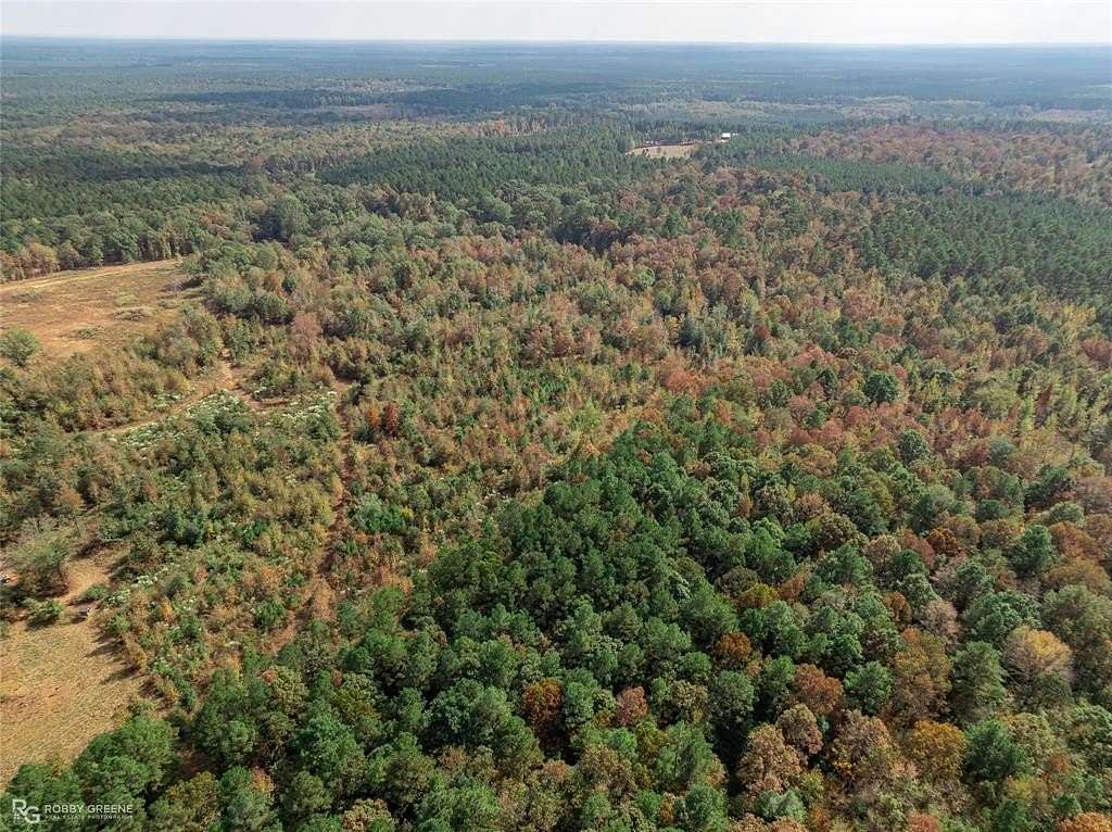 45 Acres of Recreational Land for Sale in Plain Dealing, Louisiana