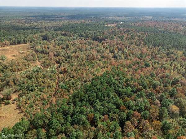 45 Acres of Recreational Land for Sale in Plain Dealing, Louisiana
