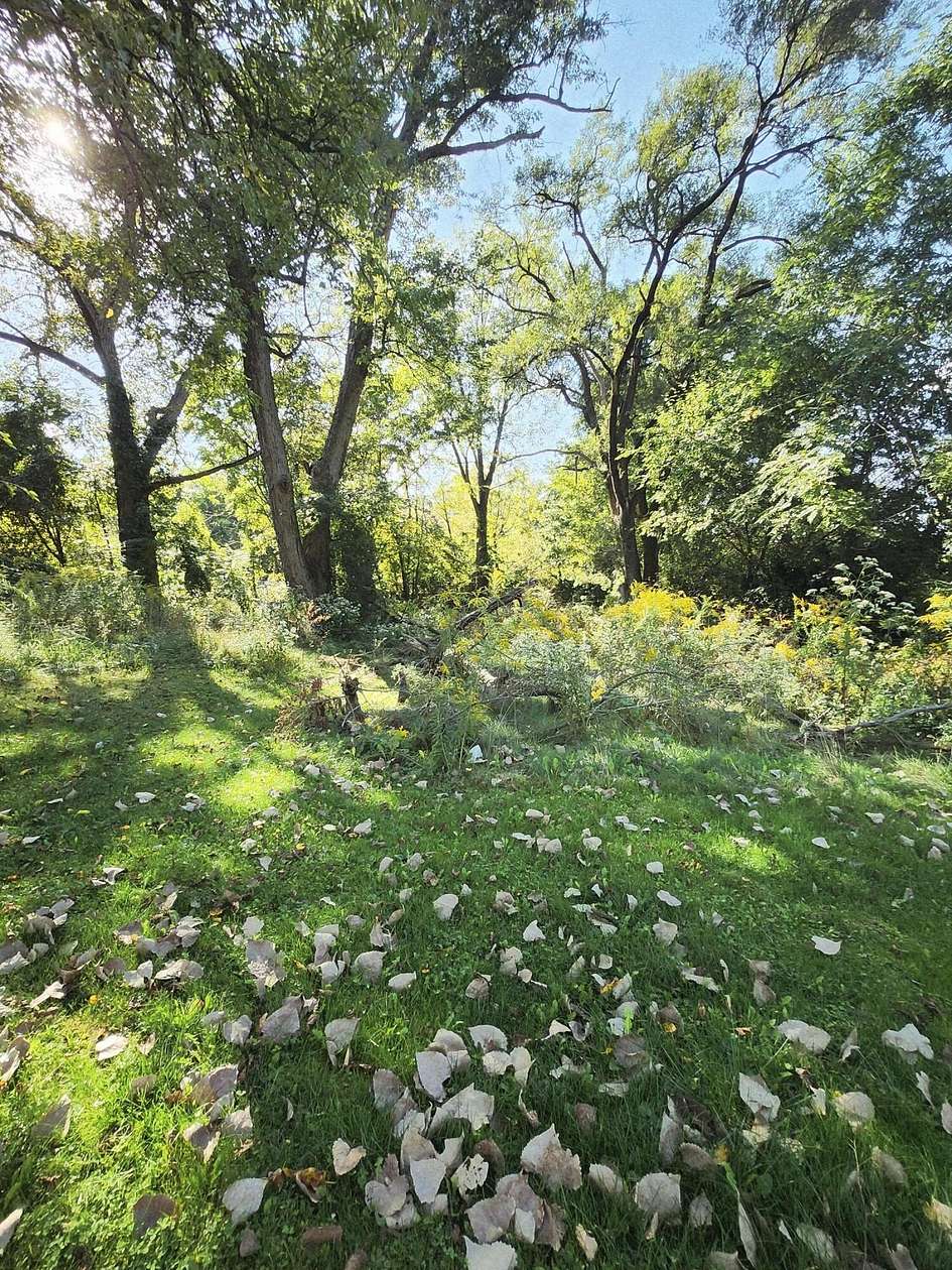 0.55 Acres of Residential Land for Sale in Valparaiso, Indiana