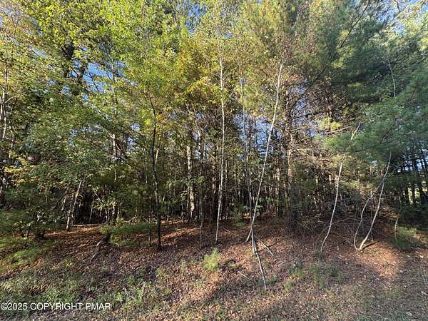 1 Acre of Residential Land for Sale in Kunkletown, Pennsylvania