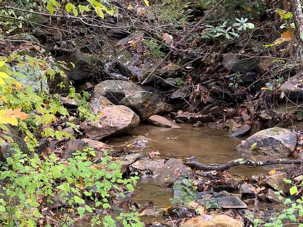 6 Acres of Land for Sale in Independence, Virginia