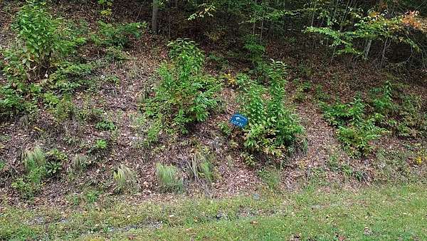 3.87 Acres of Residential Land for Sale in Cullowhee, North Carolina