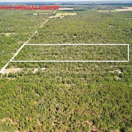 9.73 Acres of Residential Land for Sale in Bell, Florida