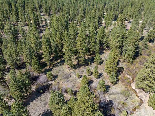 4.79 Acres of Residential Land for Sale in Placerville, Idaho