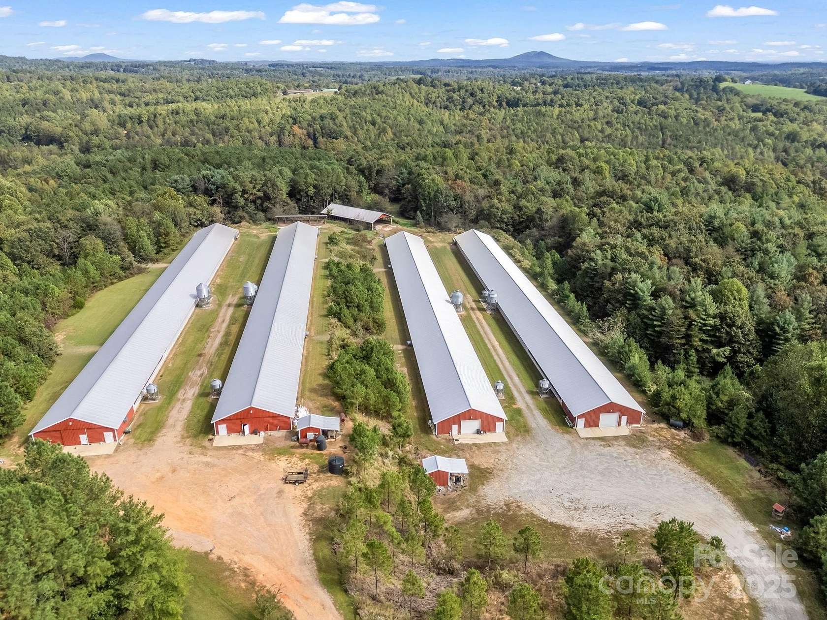 20 Acres of Agricultural Land for Sale in Connelly Springs, North Carolina