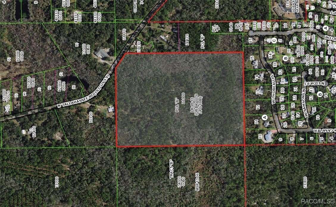 30.4 Acres of Recreational Land for Sale in Crystal River, Florida