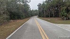 30.4 Acres of Recreational Land for Sale in Crystal River, Florida