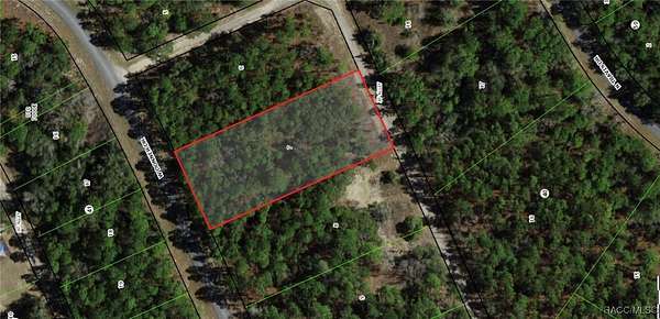 1.2 Acres of Residential Land for Sale in Citrus Springs, Florida