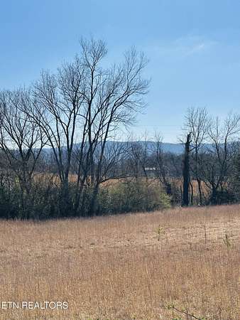 40 Acres of Land for Sale in Pikeville, Tennessee