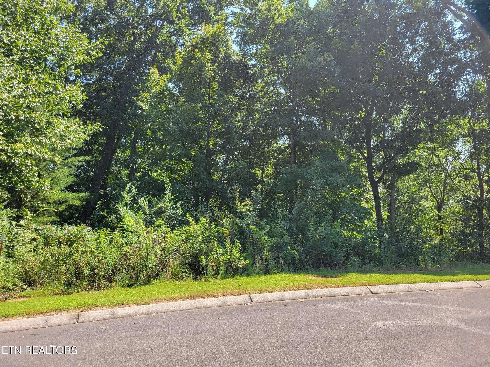 1 Acre of Residential Land for Sale in Madisonville, Tennessee
