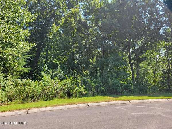 1 Acre of Residential Land for Sale in Madisonville, Tennessee