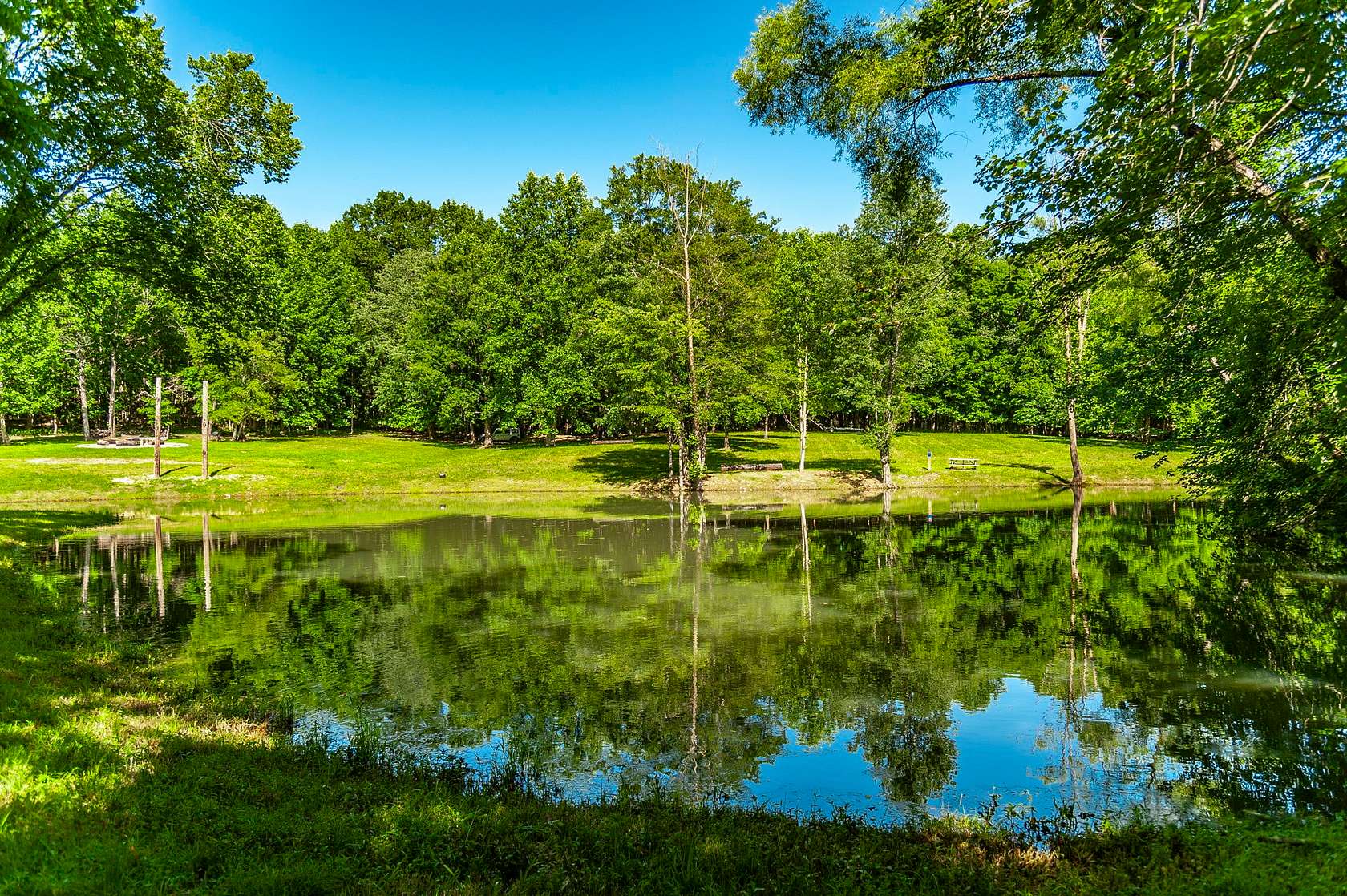 21 Acres of Land for Sale in Portland, Tennessee