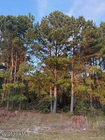 3 Acres of Residential Land for Sale in Hamlet, North Carolina