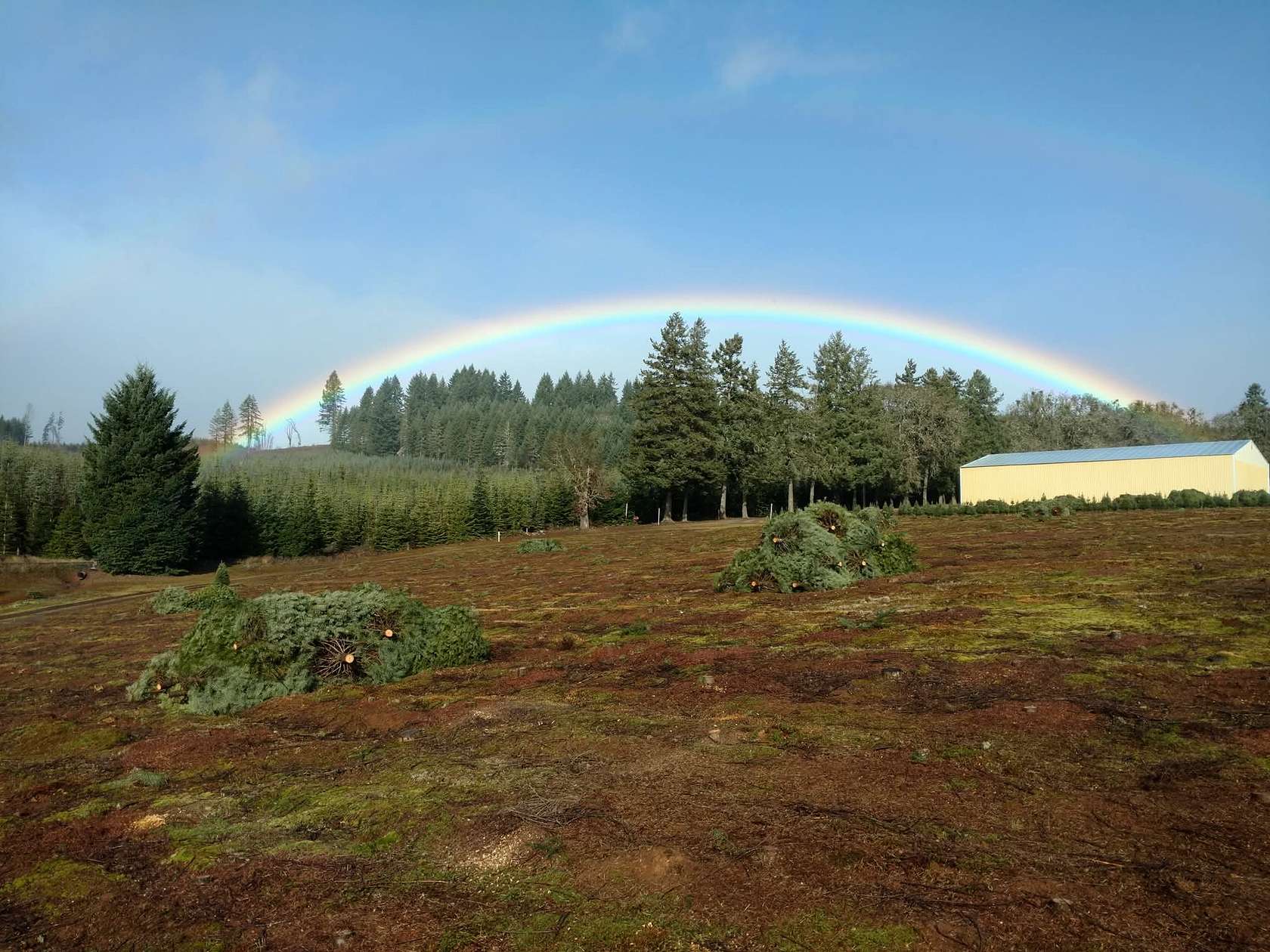 67 Acres of Land with Home for Sale in Monroe, Oregon