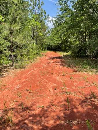 58 Acres of Land for Sale in Greenville, Alabama